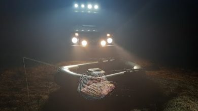 Photo of Живучий флюр и отводной рано утром!!!