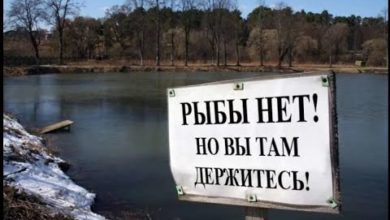 Photo of Осень, рыбы нет. Что не так?