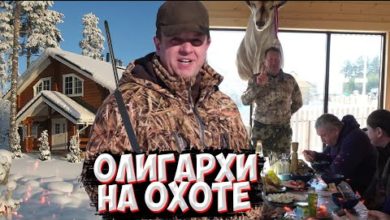 Photo of Олигархи на охоте по кабану.  1000 кабанов в хозяйстве.  Яки, лани, маралы, благородные олени