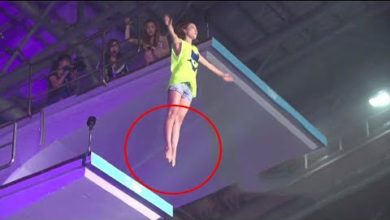 Photo of 40 Красивых Моментов, Снятых Людьми на Камеру!