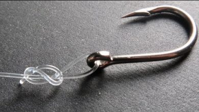 Photo of Best 5 Fishing Knots For Mono/Fluorocarbon Line