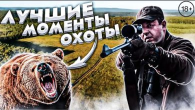 Photo of ЛУЧШИЕ ВЫСТРЕЛЫ и МОМЕНТЫ на охоте. Охота на медведя, лося и кабана