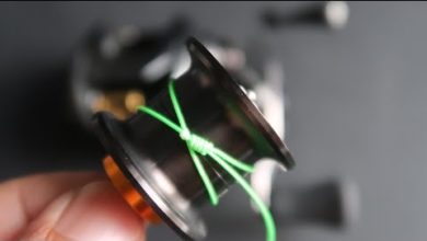 Photo of Best 5 Fishing Knots For Reels