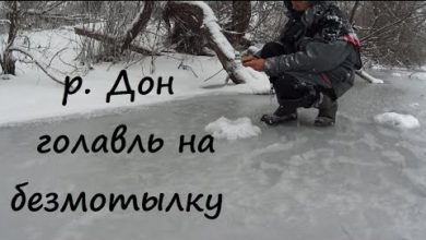 Photo of Вся рыба под берегом. Голавль на безмотылку.