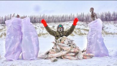 Photo of СКОЛЬКО ЖЕ ЗДЕСЬ РЫБЫ!!!? ПОПАЛ НА ДИКИЙ ЖОР. Рыбалка, первый лед.