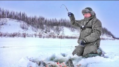 Photo of Я В ШОКЕ! ТРОФЕЙ ЗА ТРОФЕЕМ В ПЕРВОЙ ЖЕ ЛУНКЕ! Зимняя рыбалка.