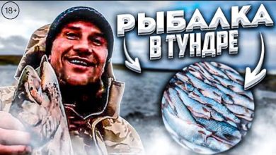 Photo of ЧУМОВАЯ РЫБАЛКА в ТУНДРЕ на месте падения Метеорита. ПОЙМАЛИ 600 кг. Голец, Сёмга, Хариус