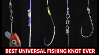 Photo of Just 1 Knot You Need For Fishing