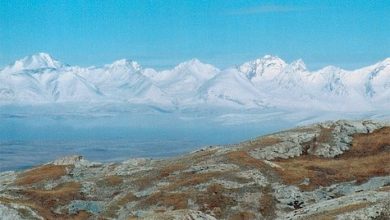 Photo of Через тернии к звездам