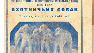 Photo of Были высокие денежные призы для охотничьих собак в 1945 году