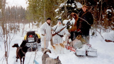 Photo of Охота на куницу с лайкой