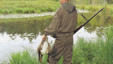 Photo of Две недели в таежных лесах