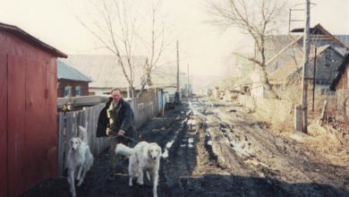 Photo of Памяти Александра Шевченко