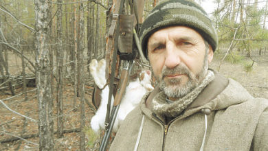 Photo of В узерку на зайца
