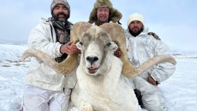 Photo of Есть ли охота после Weatherby? Путешествие в Таджикистан