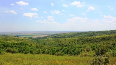 Photo of В плену биотехнии