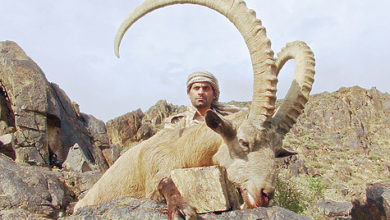 Photo of Козероги Джунгарского Алатау