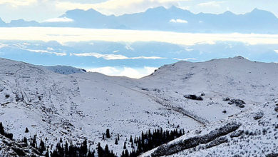 Photo of Тэки Нарынкола