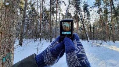 Photo of Крепкий «кнопочник» для охоты: мой опыт с Philips Xenium E218