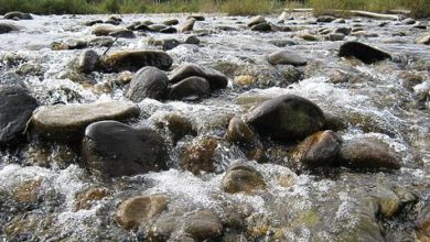 Photo of Вода в источнике может стать опасной