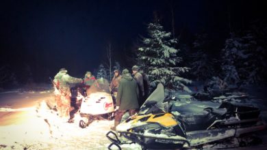 Photo of Волки окладом