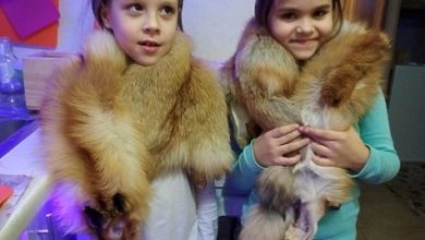 Photo of О молодых экспертах и стажерах