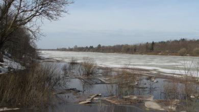 Photo of С чучелами на селезня