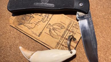 Photo of Smith&Wesson Model #520 USA
