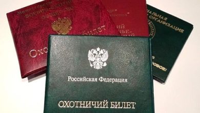 Photo of Государственный охотничий билет меняет облик