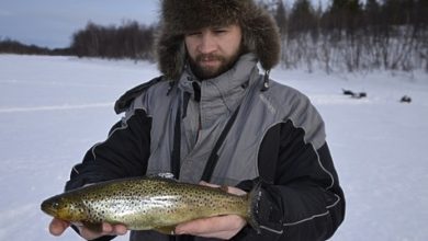 Photo of Время подледной ловли кумжи в реках