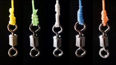 Photo of Best 5 Fishing Knots For Swivel