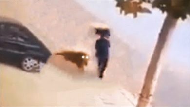 Photo of На Скрытую Камеру Попало ТАКОЕ, Что Нужно Обязательно Увидеть! Моменты, Снятые на Камеру!