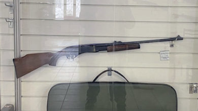 Photo of Редкая для нашей страны помпа