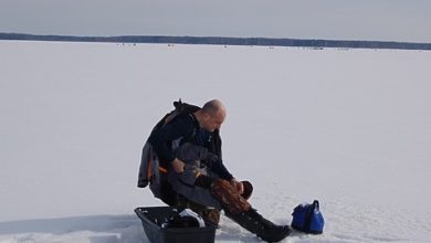 Photo of На разную рыбу разные мормышки