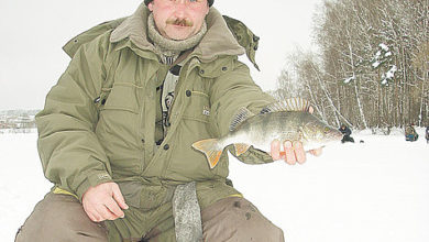 Photo of Ловля окуня в глухозимье