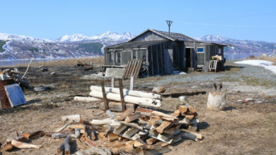 Photo of Книги 2021 года