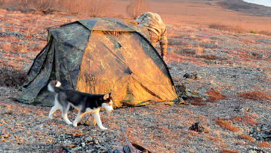 Photo of Палаточное