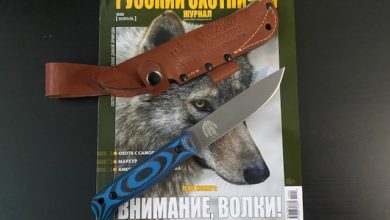Photo of Йети? А, йети мыть надо…