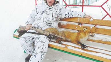 Photo of На лисицу с манком