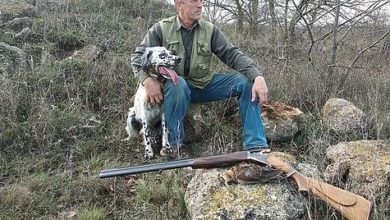 Photo of Живые правила охоты