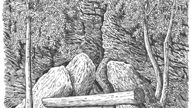 Photo of «Лягушатники и электроудочники»