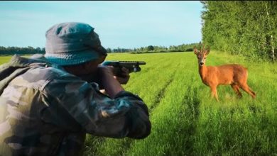 Photo of ОХОТА С ДРОБОВИКОМ НА САМЦА КОСУЛИ. Добыл 2 козла за выход