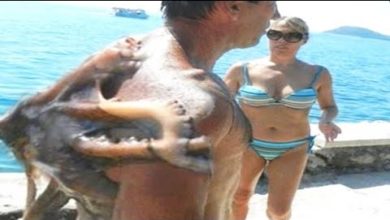 Photo of Если бы Этот Случай не Сняли на Камеру, Никто бы Не Поверил. Топ 10