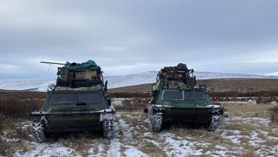 Photo of Ремаркой