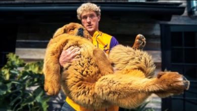 Photo of Стоимость Этих Собак Больше Чем У Самолета…