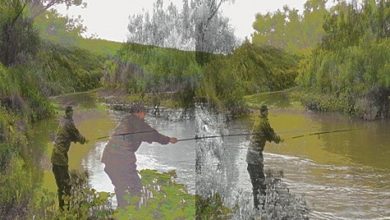 Photo of Забытые ложки