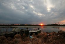 Photo of По Колыме в июне