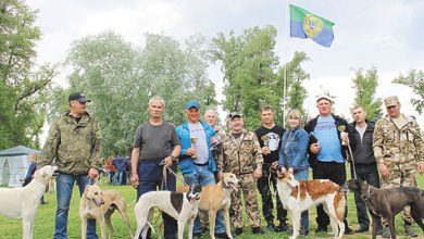 Photo of Саратовская выставка охотничьих собак