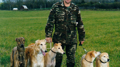 Photo of Закон – это только то, что в нем написано