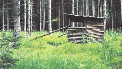 Photo of Я верю в Россию